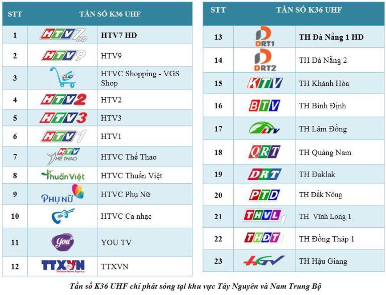 CÔNG TY SDTV CHÍNH THỨC PHÁT SÓNG TRUYỀN HÌNH KỸ THUẬT SỐ MẶT ĐẤT TẠI BÌNH ĐỊNH