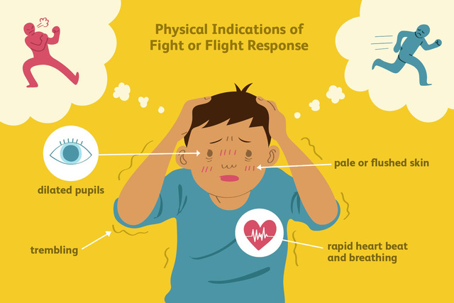 photo-6-16697356572471368147568