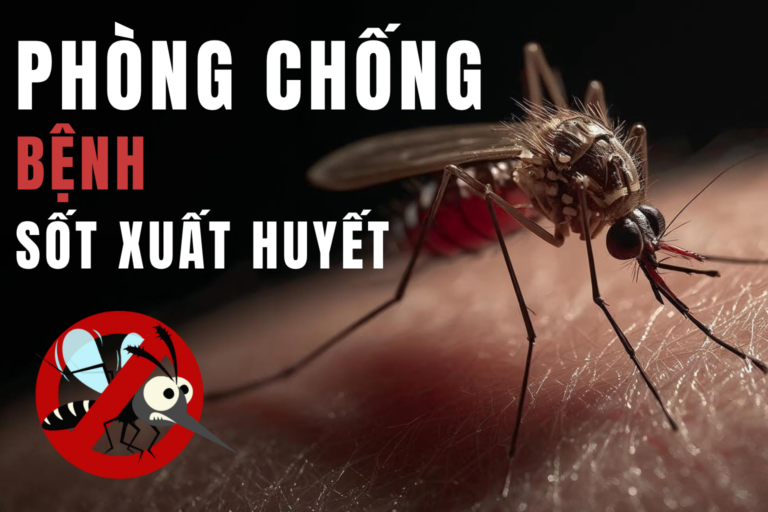 phòng bệnh sốt xuất huyết mùa mưa